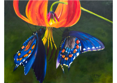 Mariposas azules