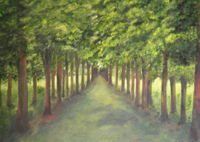 Camí
